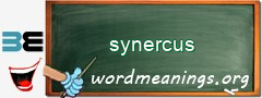 WordMeaning blackboard for synercus